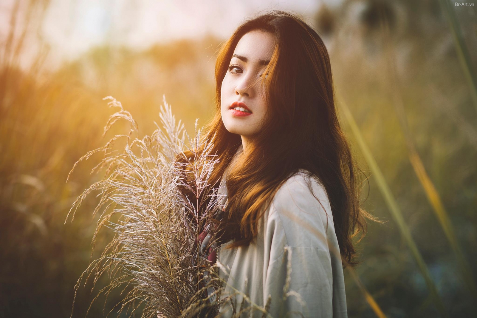 Ảnh ngược sáng tuyệt đẹp
